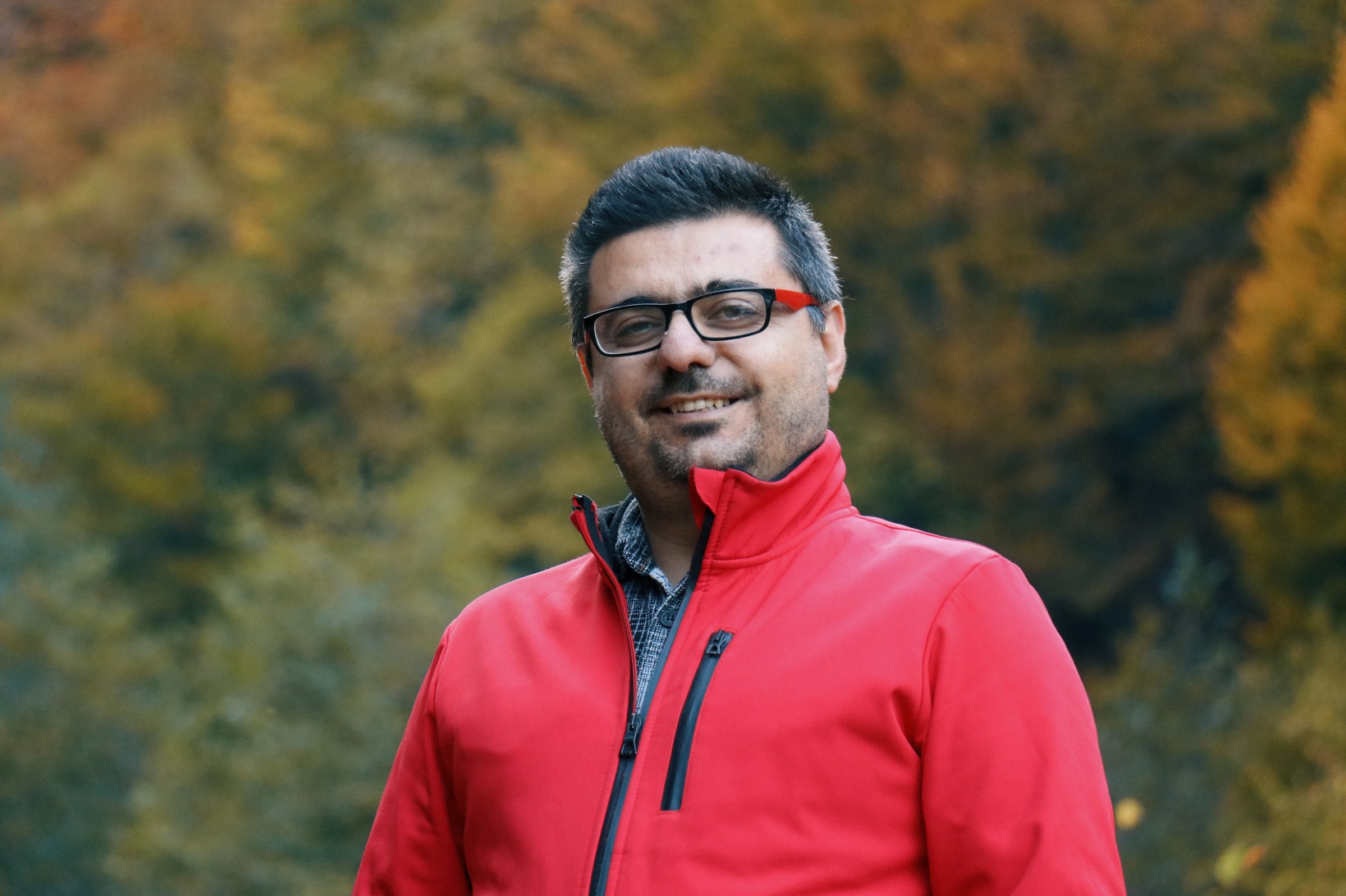 Örümcek Ormanları büyüleyici hale büründü 6