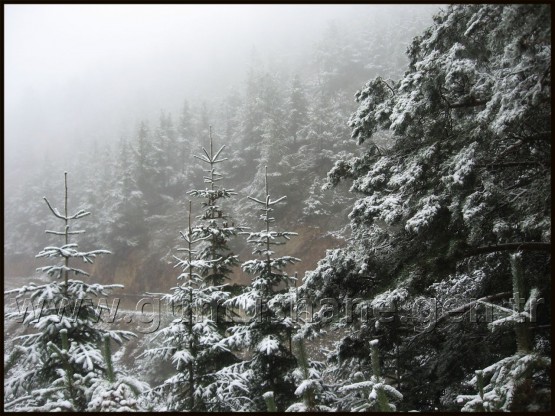 Kar Dağları Beyaza Bürüdü 4