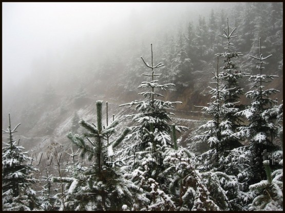 Kar Dağları Beyaza Bürüdü 5