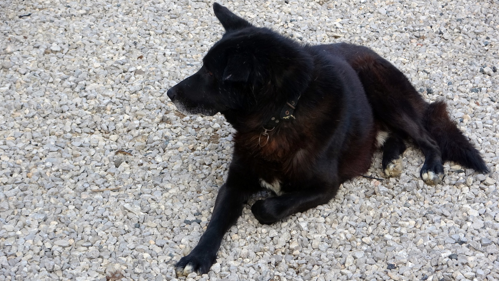 Titus ile Pamuk’un dostluğu ilgi çekiyor 8