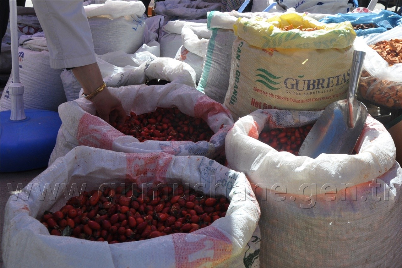 Kuşburnunun Adı Var Kendi Yok 2