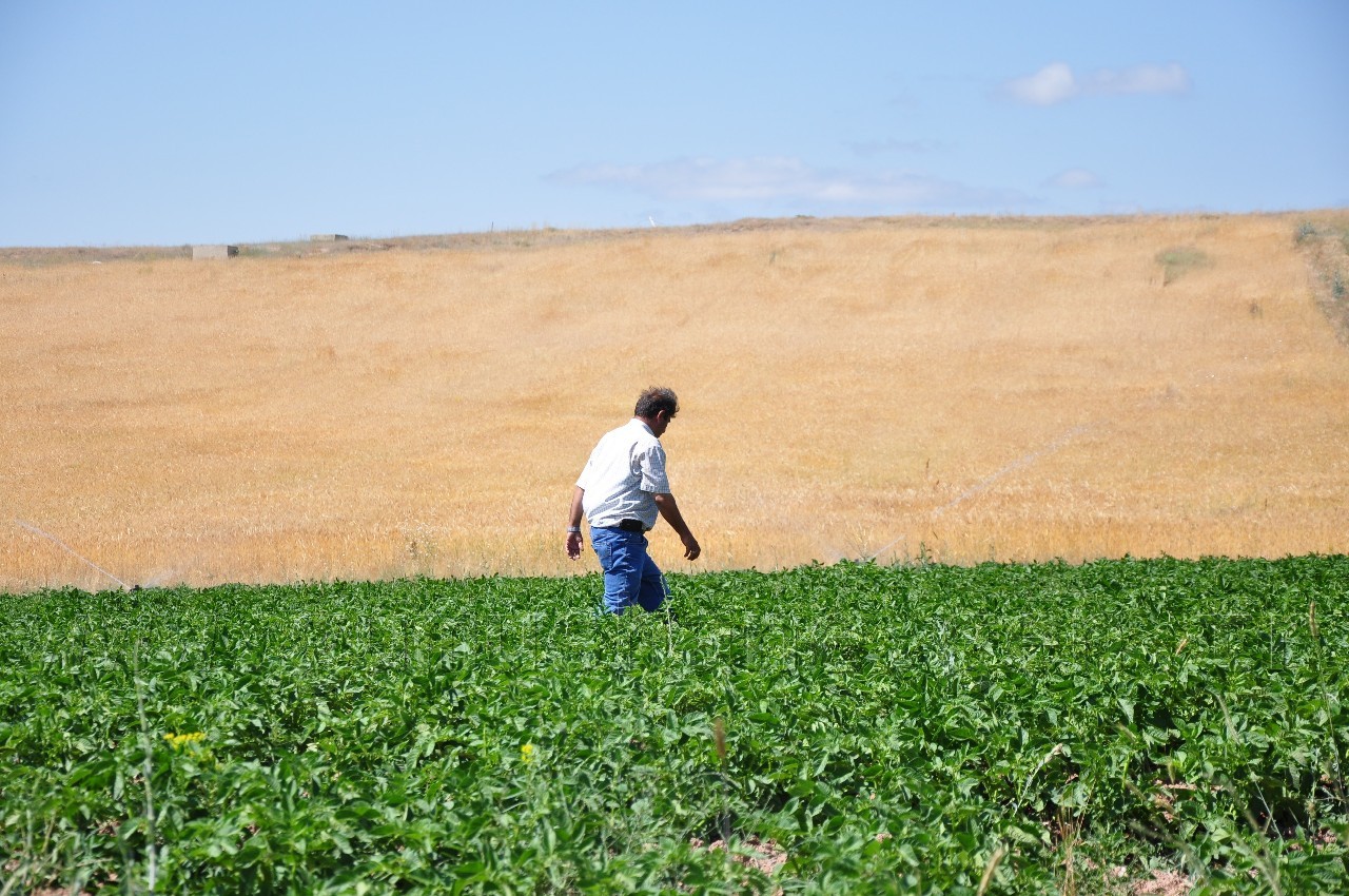 Sulu Tarım Köse'nin Talihini Değiştiriyor 5