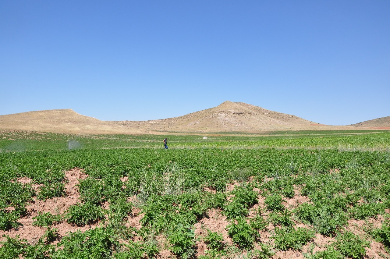 Sulu Tarım Köse'nin Talihini Değiştiriyor 7
