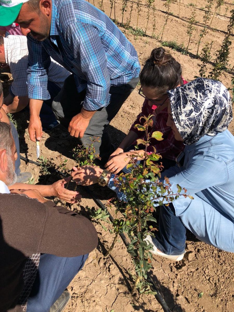 Gümüşhaneli çiftçilere teknik gezi 11