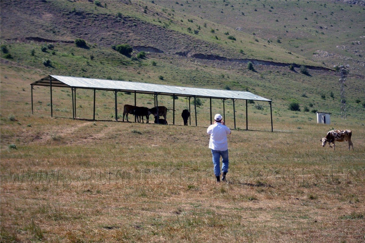 Deredolu'da Mera Islah Çalışmaları Tamamlandı 2