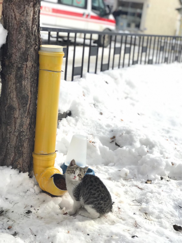 Şiran’da üniversite öğrencilerinden örnek davranış 3
