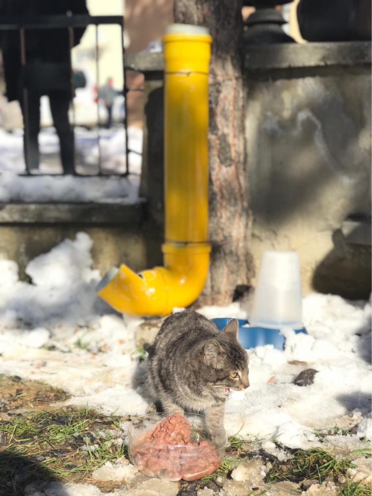 Şiran’da üniversite öğrencilerinden örnek davranış 8