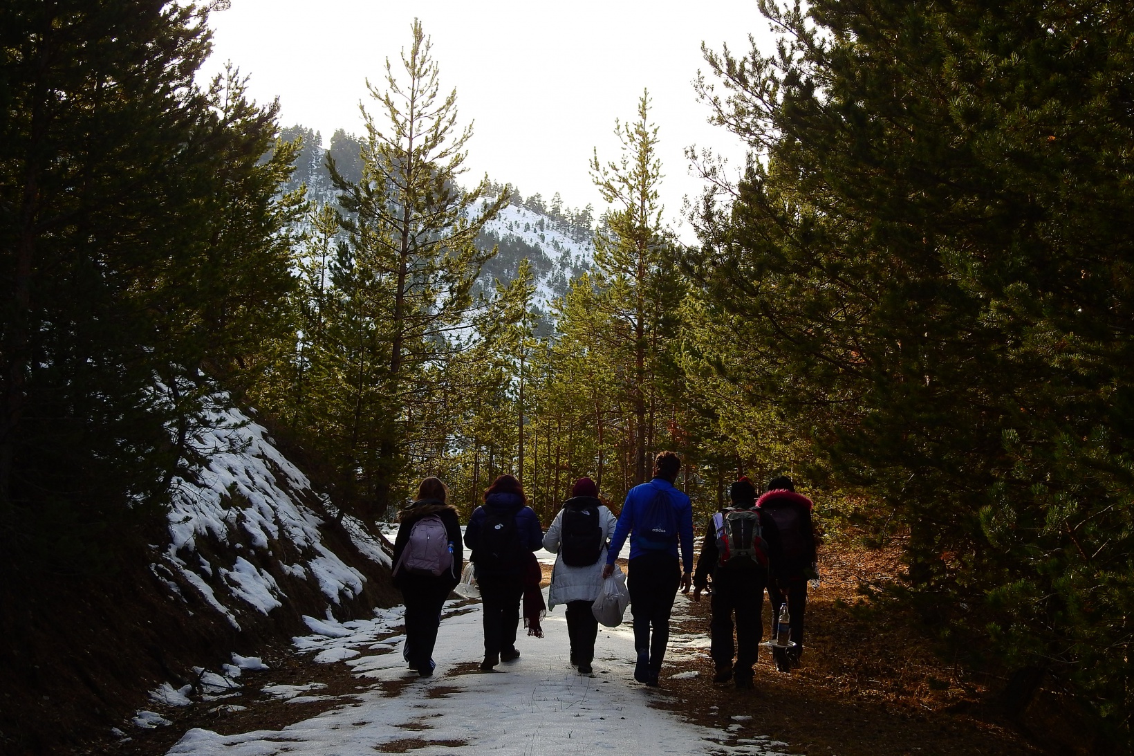 Gümüşhaneli dağcılar Sarıkamış Şehitleri için yürüdü 11