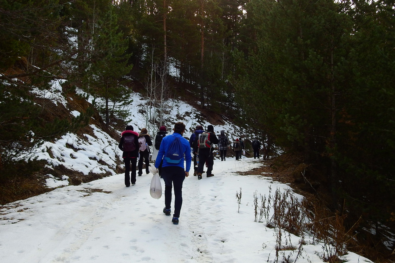 Gümüşhaneli dağcılar Sarıkamış Şehitleri için yürüdü 9