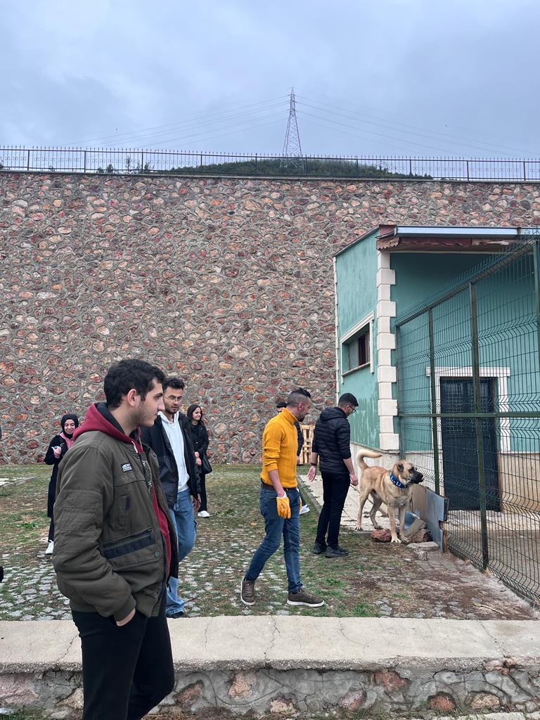 Öğrenciler sokak hayvanları rehabilitasyon merkezinde 4
