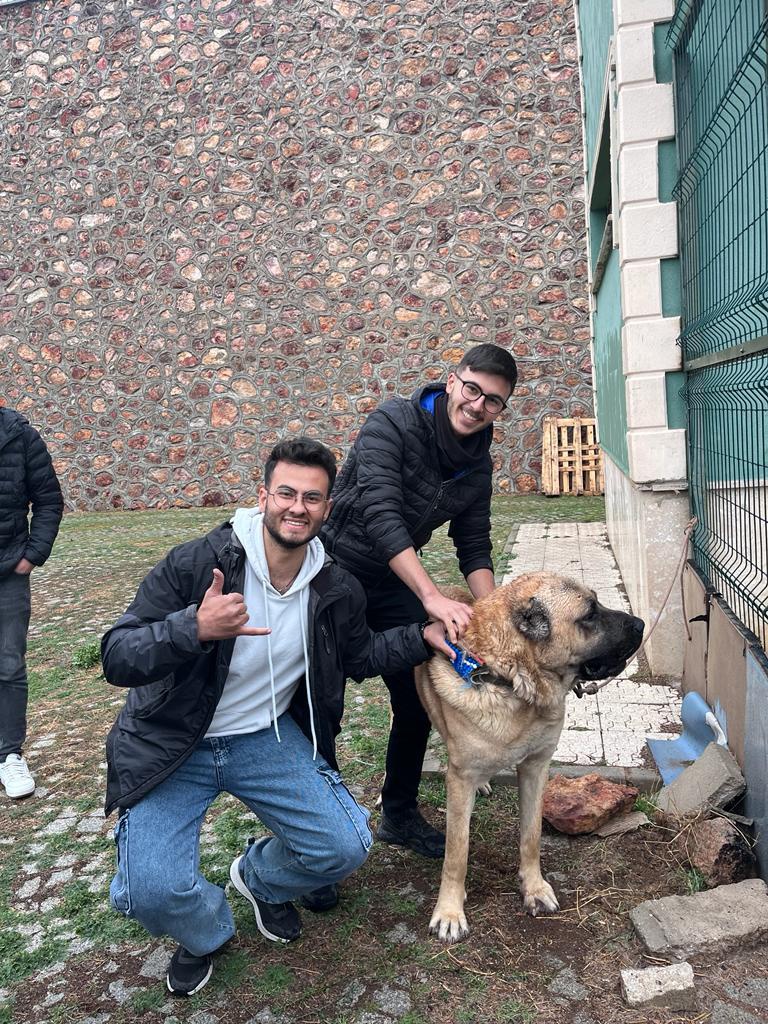 Öğrenciler sokak hayvanları rehabilitasyon merkezinde 6