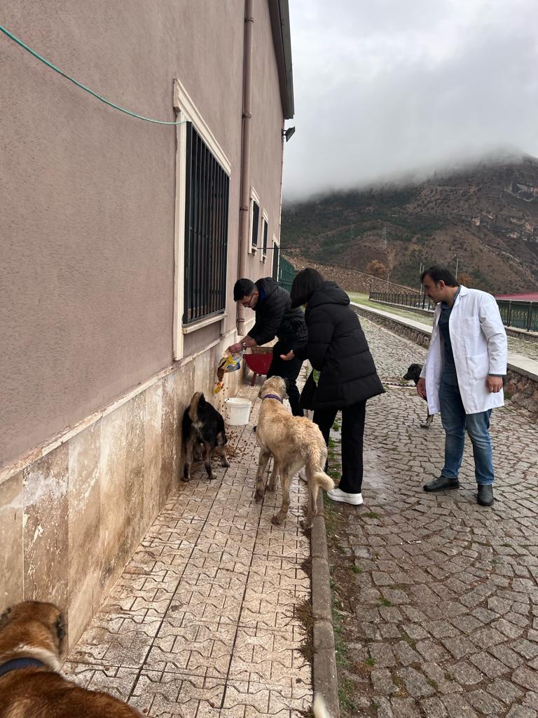 Öğrenciler sokak hayvanları rehabilitasyon merkezinde 5
