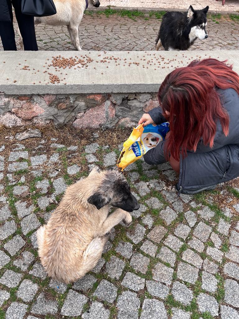 Öğrenciler sokak hayvanları rehabilitasyon merkezinde 3