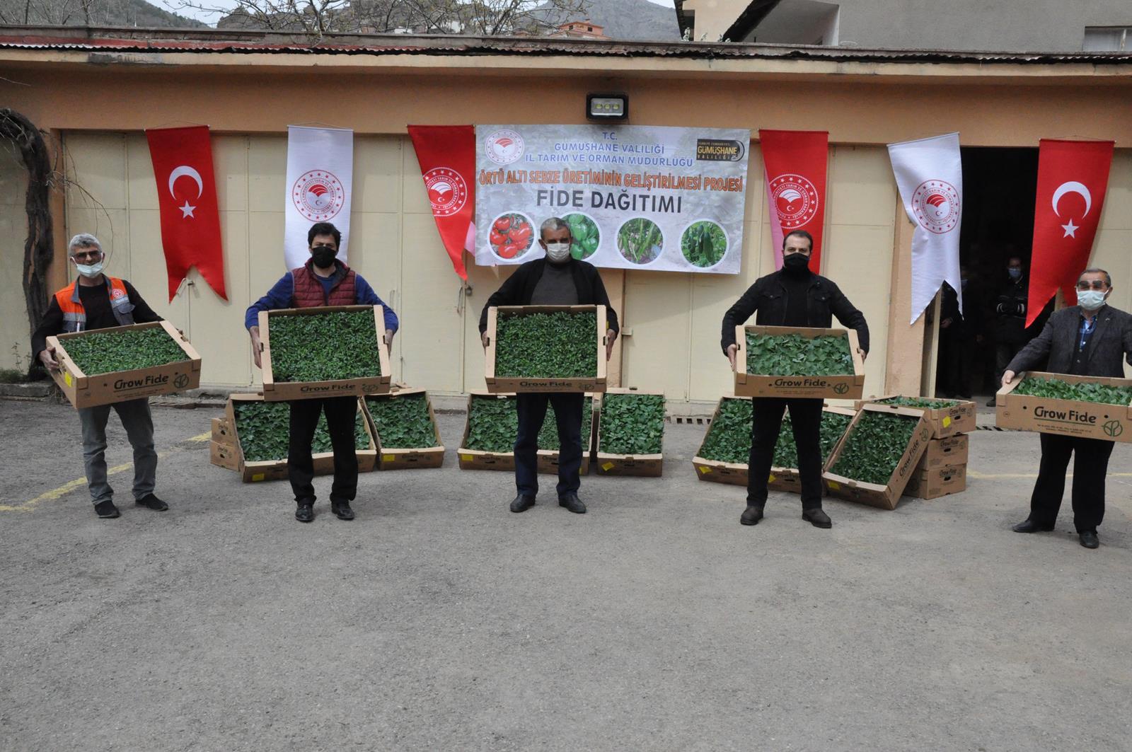 Gümüşhane’de üreticilere 146 bin 700 adet fide dağıtıldı 1