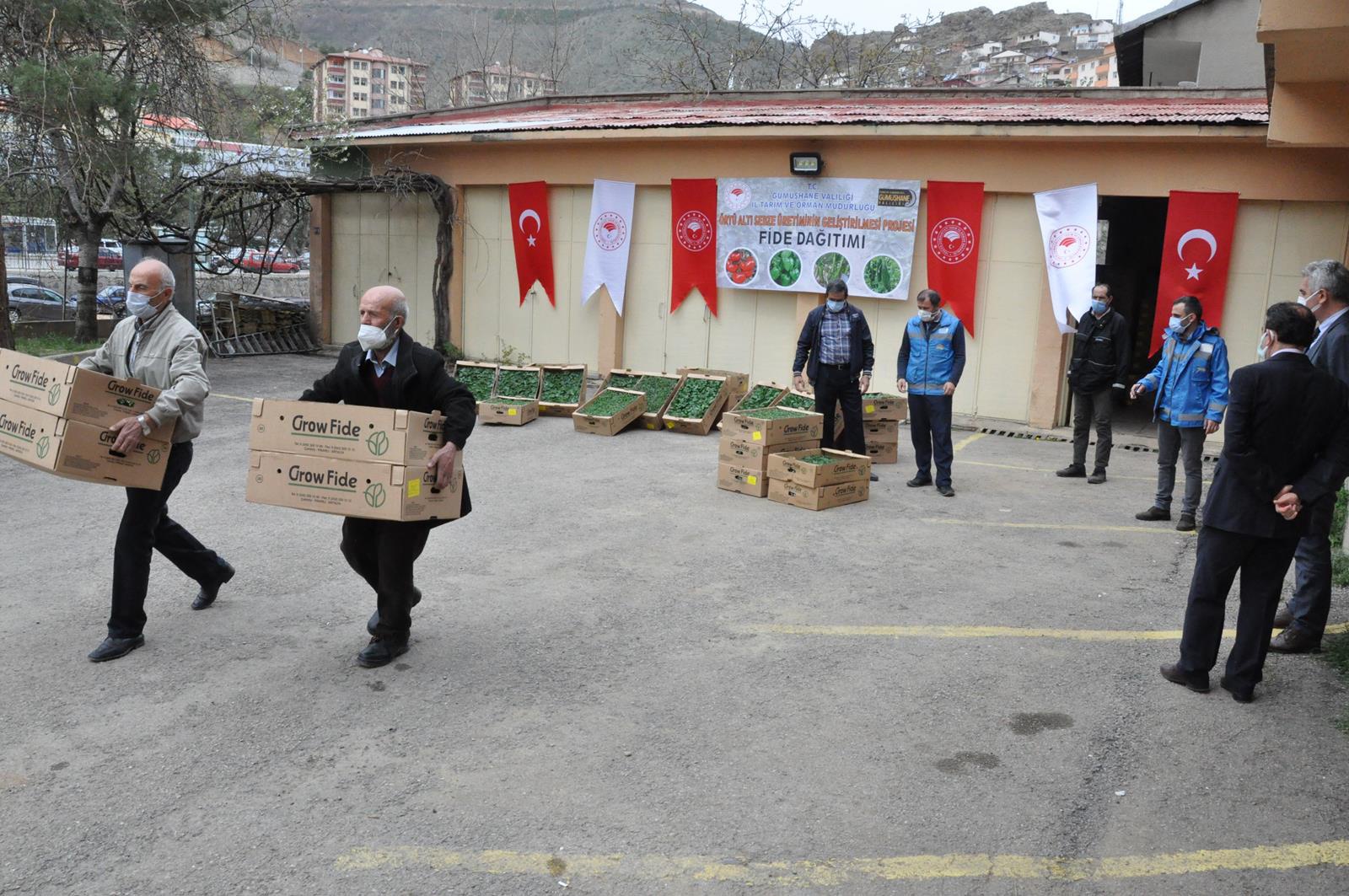 Gümüşhane’de üreticilere 146 bin 700 adet fide dağıtıldı 4