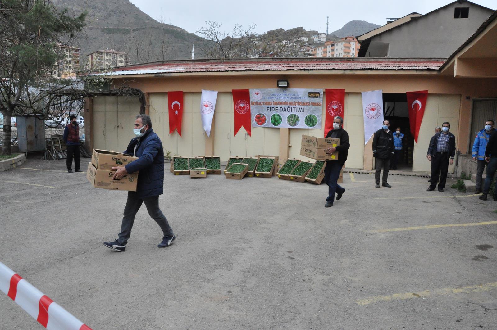 Gümüşhane’de üreticilere 146 bin 700 adet fide dağıtıldı 2