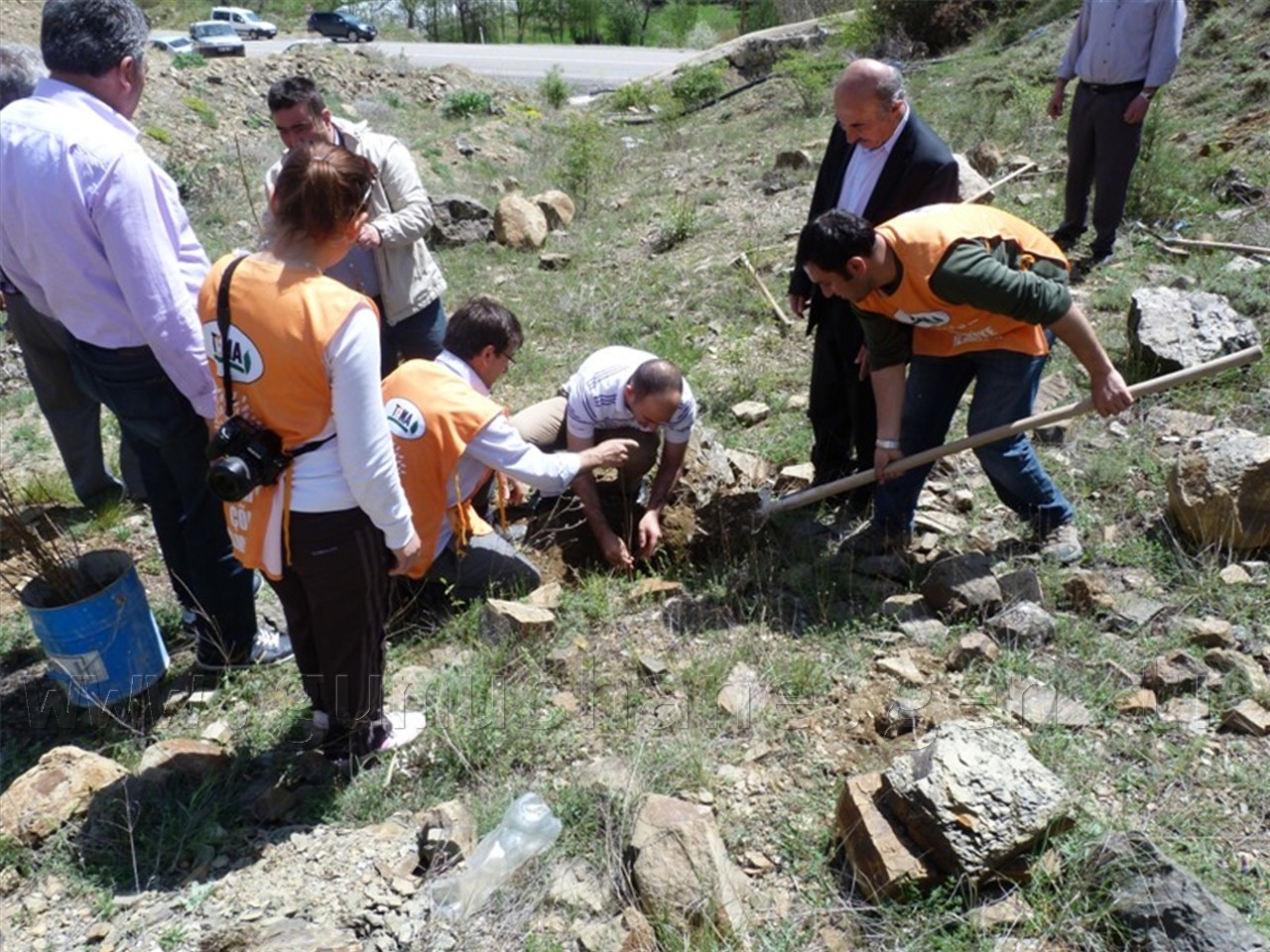 TEMA, 300 Fidanı Toprakla Buluşturdu 10