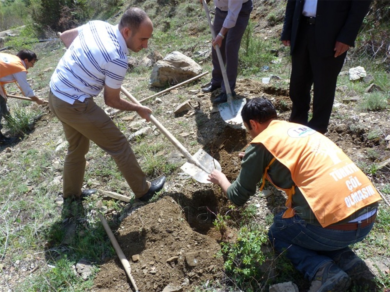 TEMA, 300 Fidanı Toprakla Buluşturdu 12