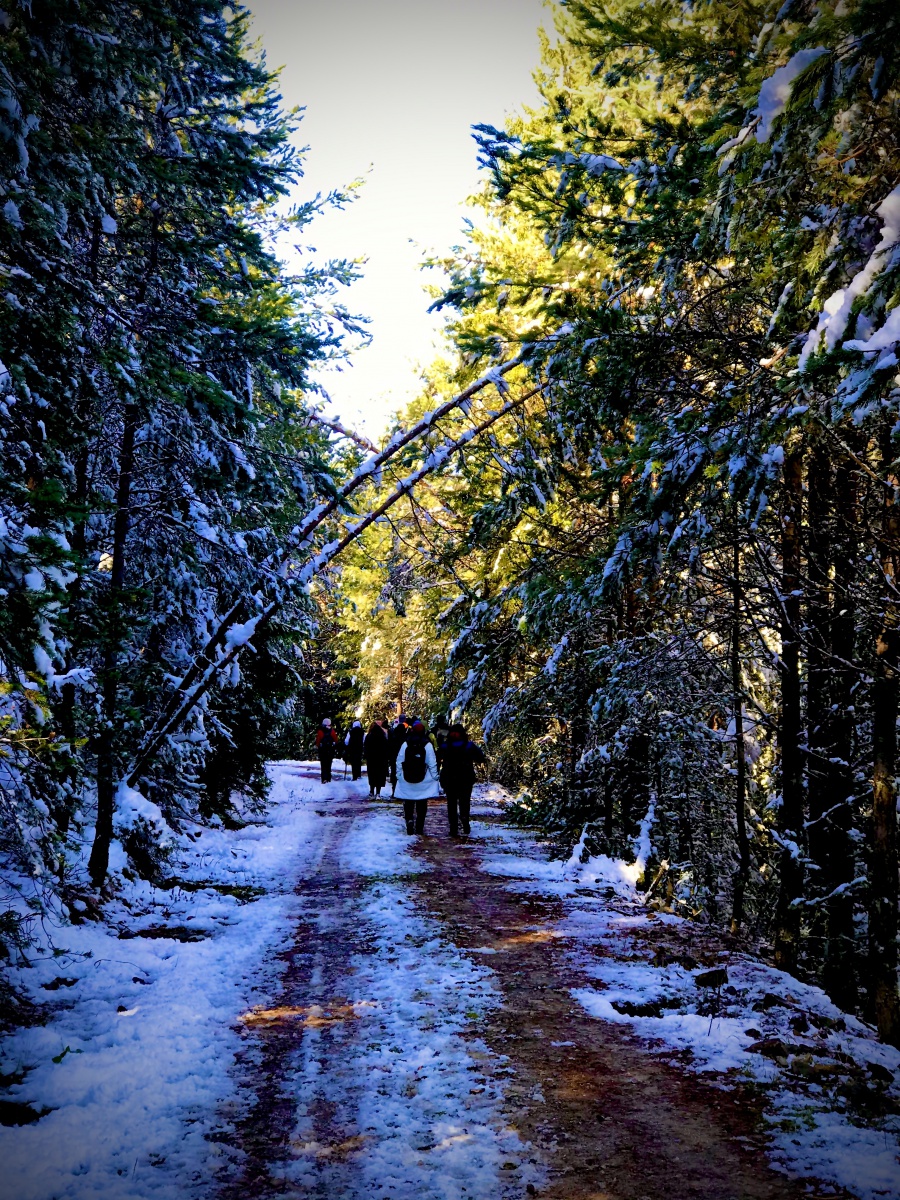 Gümüşhaneli dağcılar Zigana’da sonbahar ve kışı bir arada yaşadı 12