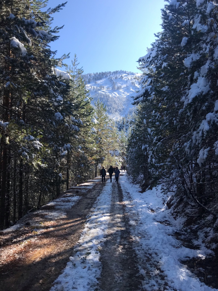 Gümüşhaneli dağcılar Zigana’da sonbahar ve kışı bir arada yaşadı 16
