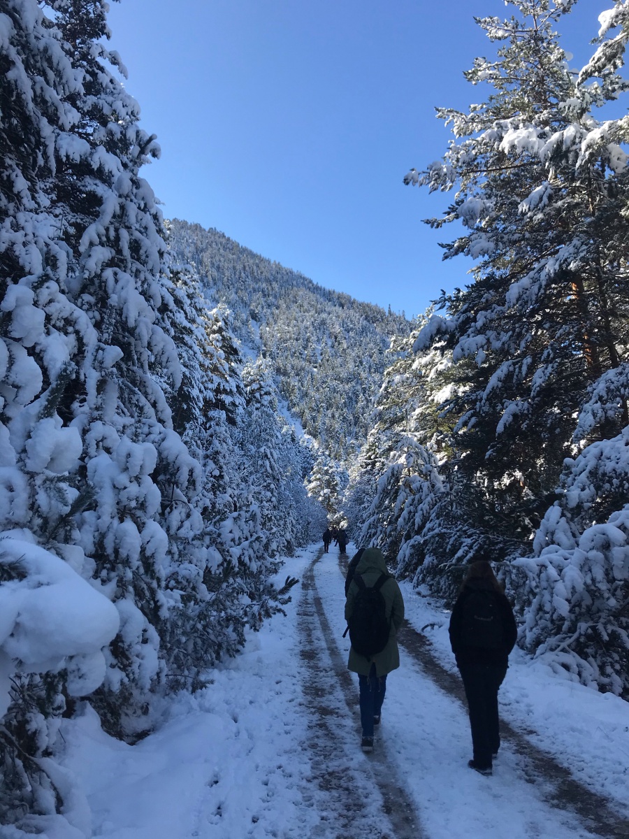 Gümüşhaneli dağcılar Zigana’da sonbahar ve kışı bir arada yaşadı 13