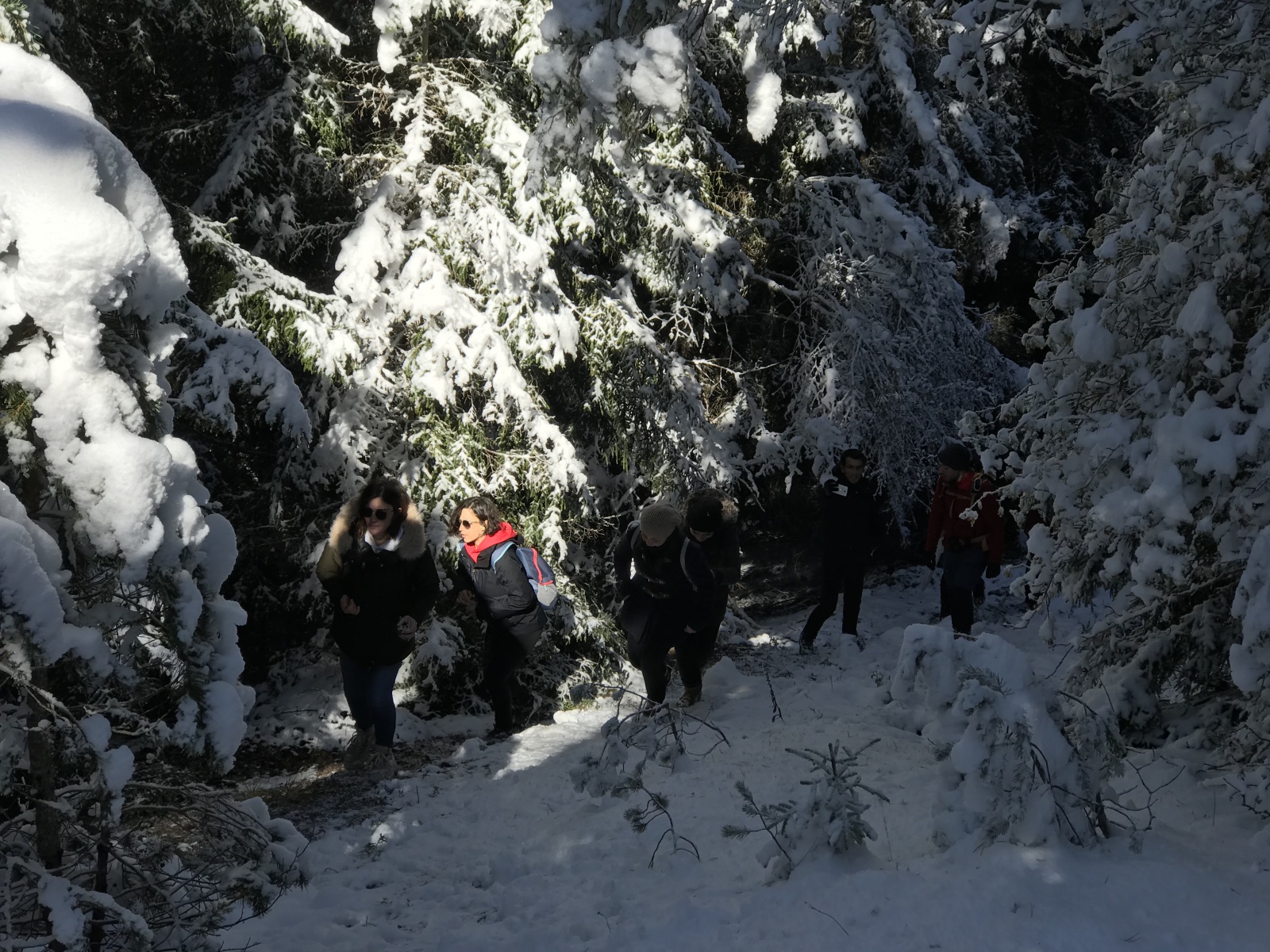 Gümüşhaneli dağcılar Zigana’da sonbahar ve kışı bir arada yaşadı 14