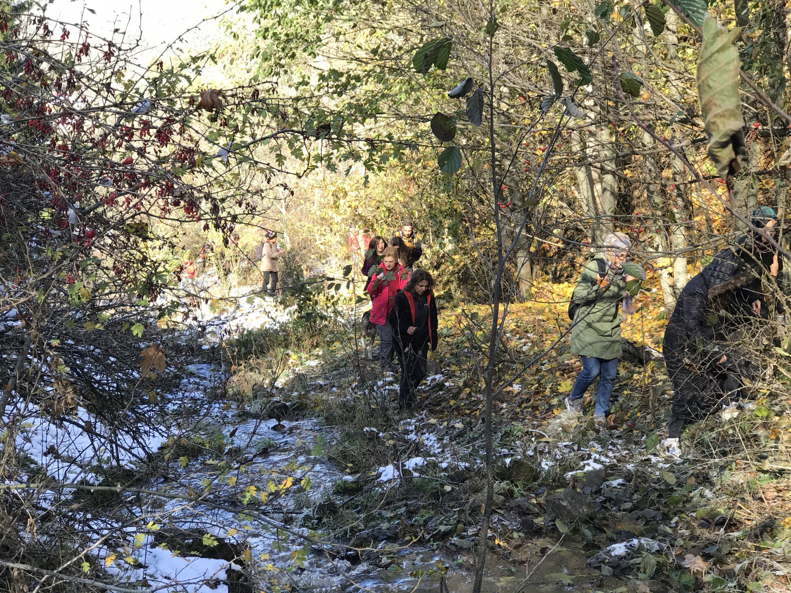 Gümüşhaneli dağcılar Zigana’da sonbahar ve kışı bir arada yaşadı 23