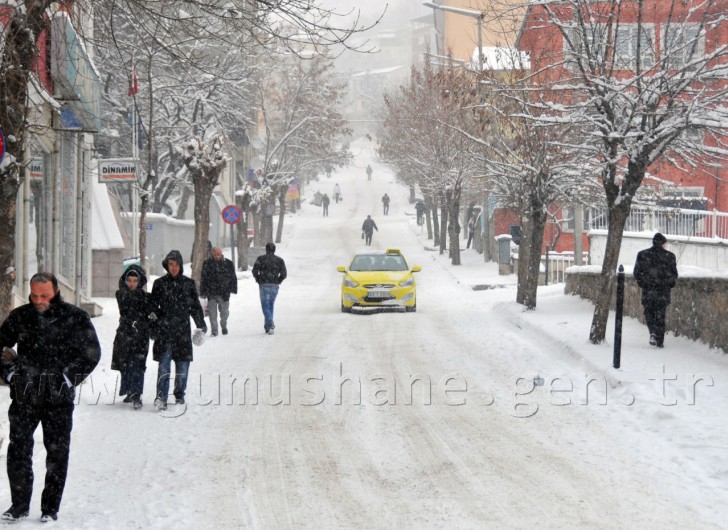 Gümüşhane'de Kar: 120 Köy Yolu Ulaşıma Kapandı 5