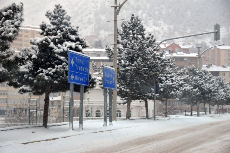 Gümüşhane'de Kar: 120 Köy Yolu Ulaşıma Kapandı 8