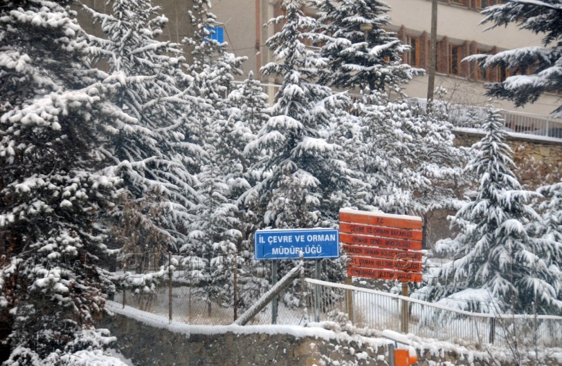 Gümüşhane'de Kar: 120 Köy Yolu Ulaşıma Kapandı 9