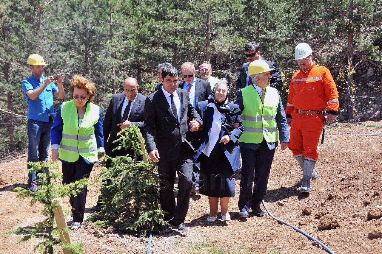 Gümüşhane'de Hakkı Çubukçu Hatıra Ormanı Oluşturuldu 4