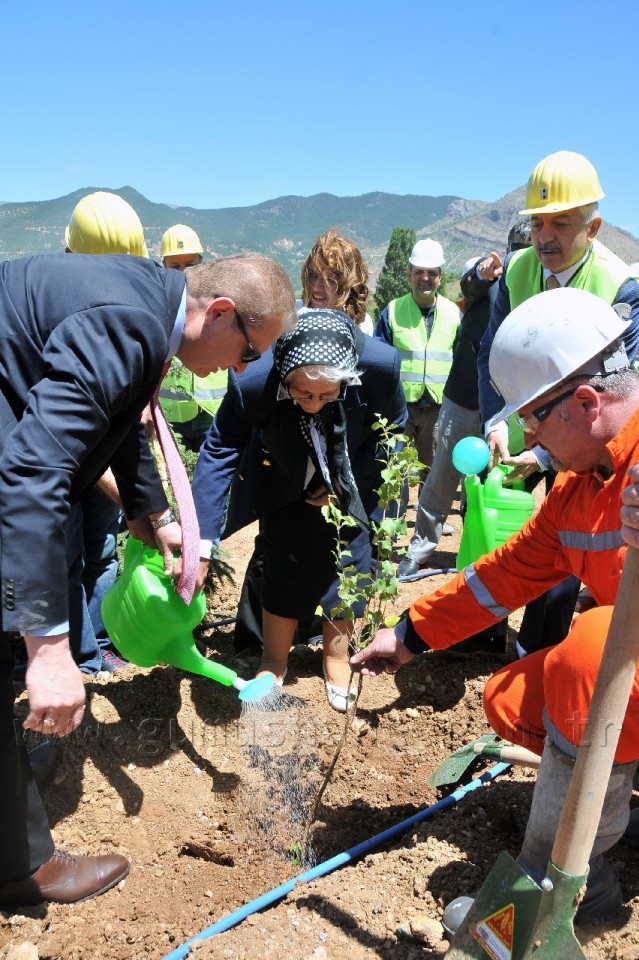 Gümüşhane'de Hakkı Çubukçu Hatıra Ormanı Oluşturuldu 7
