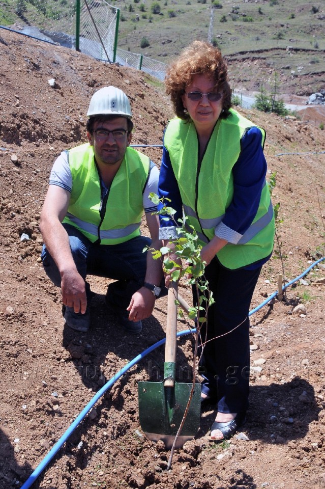 Gümüşhane'de Hakkı Çubukçu Hatıra Ormanı Oluşturuldu 8