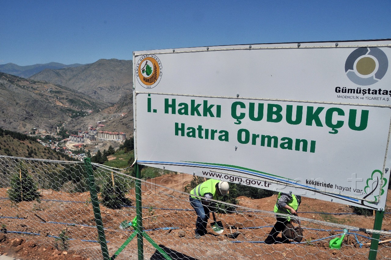 Gümüşhane'de Hakkı Çubukçu Hatıra Ormanı Oluşturuldu 10