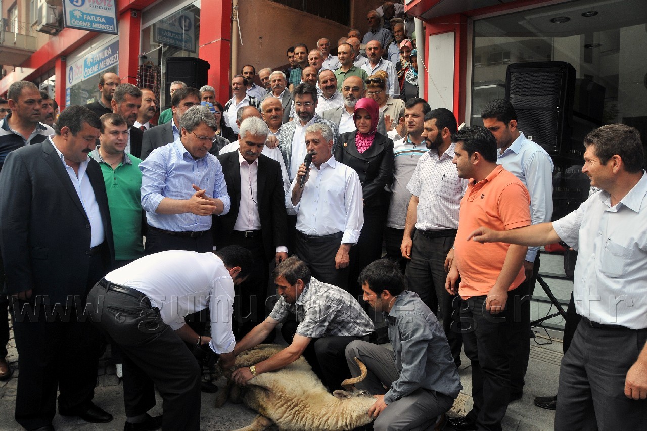Gümüşhane'de Başbakan Erdoğan İçin Kurban Kesildi 1
