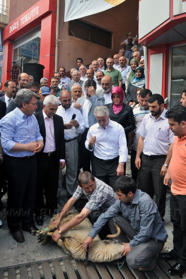 Gümüşhane'de Başbakan Erdoğan İçin Kurban Kesildi 2