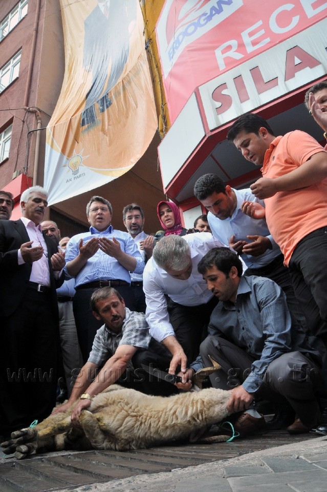 Gümüşhane'de Başbakan Erdoğan İçin Kurban Kesildi 3