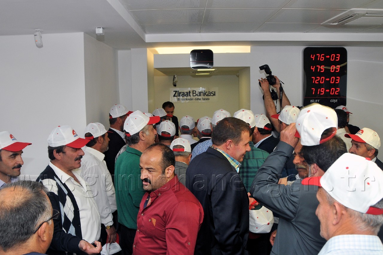 Gümüşhane'de Başbakan Erdoğan İçin Kurban Kesildi 7