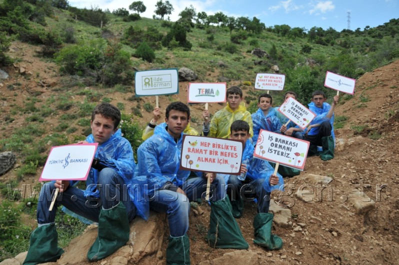 İş Bankası'nın 68.Ormanı Gümüşhane'de 42