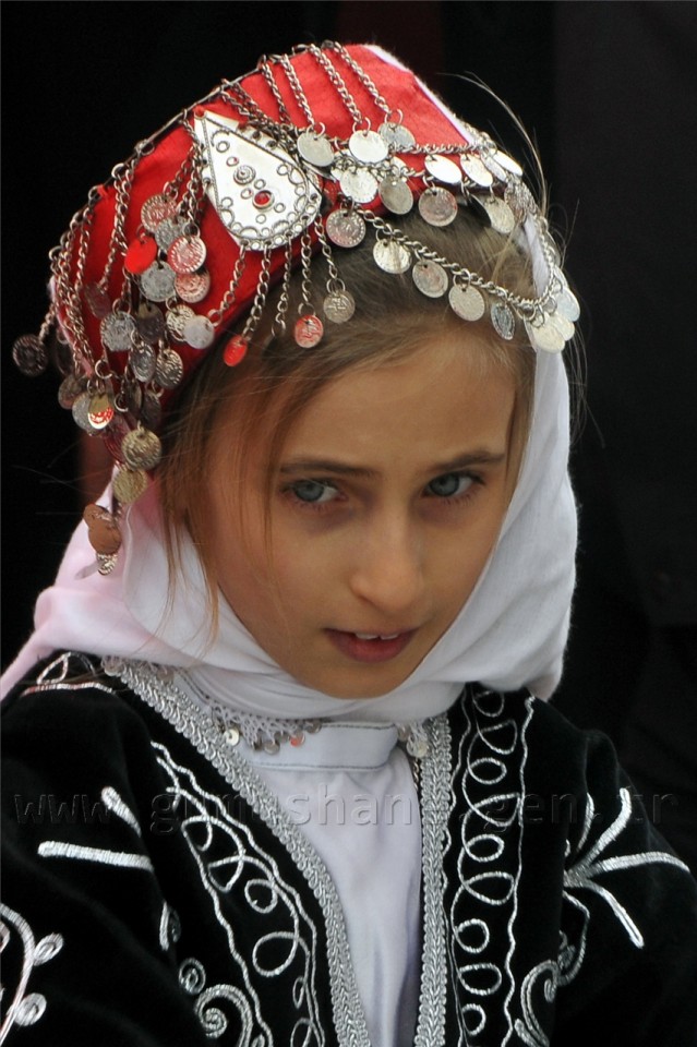 Bakan Işık, Torul, Şiran, Kelkit ve Köse'de 56