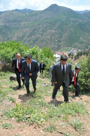 İş Bankası'nın 68.Ormanı Gümüşhane'de 30