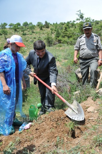 İş Bankası'nın 68.Ormanı Gümüşhane'de 31