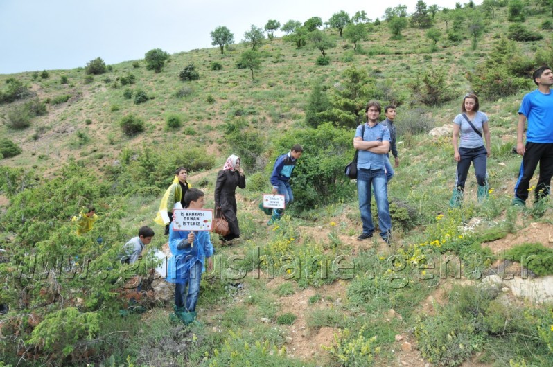 İş Bankası'nın 68.Ormanı Gümüşhane'de 32