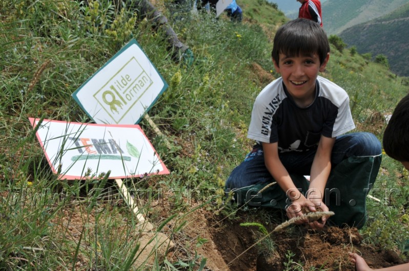 İş Bankası'nın 68.Ormanı Gümüşhane'de 33