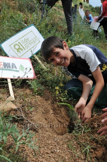 İş Bankası'nın 68.Ormanı Gümüşhane'de 34