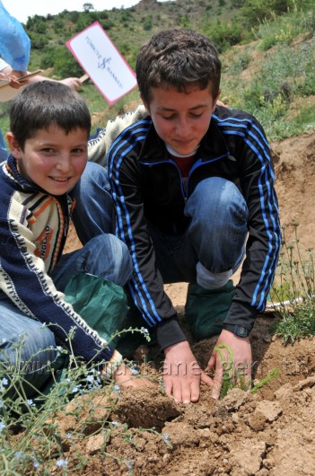 İş Bankası'nın 68.Ormanı Gümüşhane'de 35