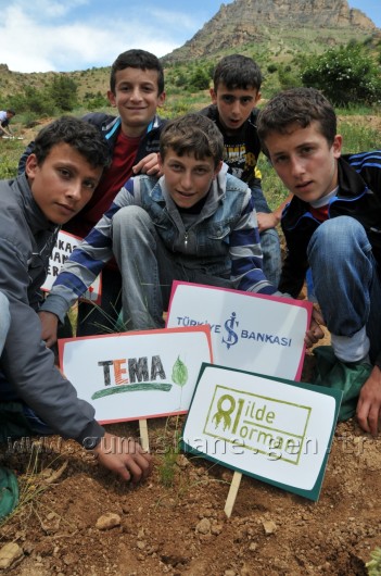 İş Bankası'nın 68.Ormanı Gümüşhane'de 36