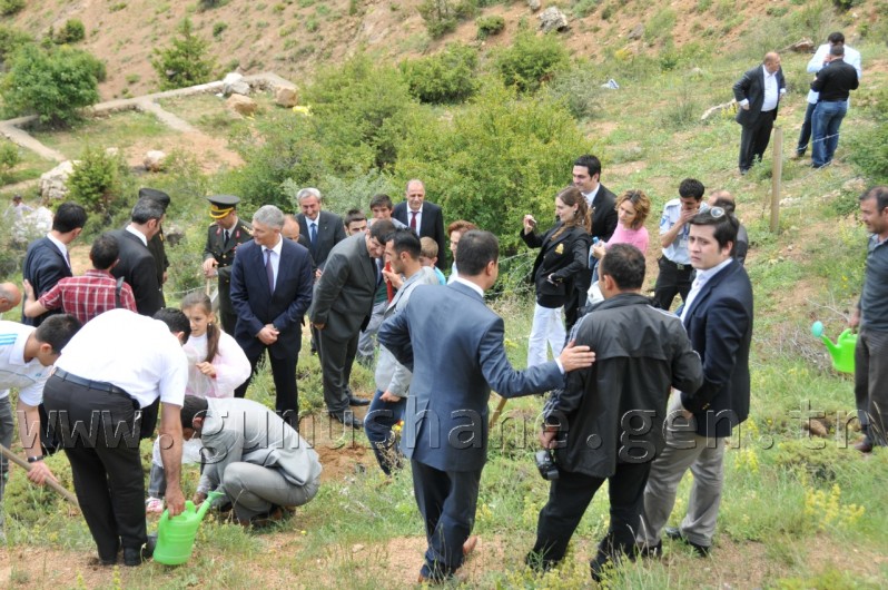 İş Bankası'nın 68.Ormanı Gümüşhane'de 37