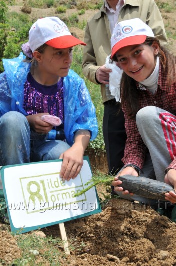 İş Bankası'nın 68.Ormanı Gümüşhane'de 39