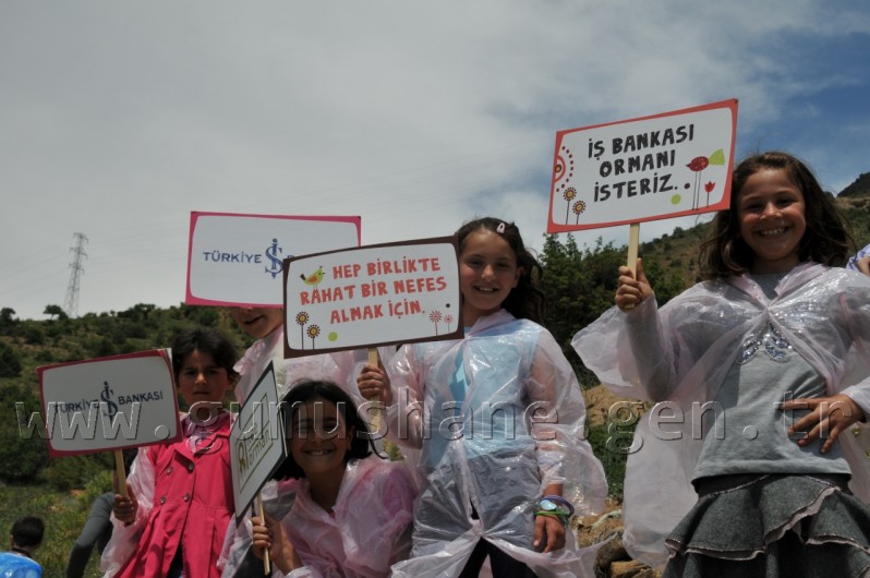 İş Bankası'nın 68.Ormanı Gümüşhane'de 41